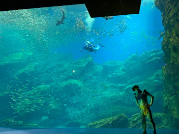 仙台うみの杜水族館に投稿された画像（2022/8/12）