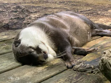 仙台うみの杜水族館に投稿された画像（2022/8/12）