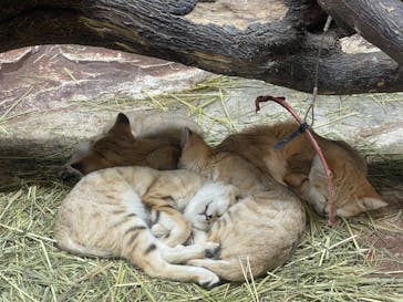 那須どうぶつ王国に投稿された画像（2022/8/12）