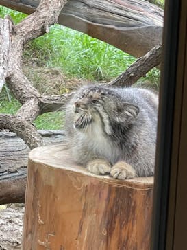 那須どうぶつ王国に投稿された画像（2022/8/12）