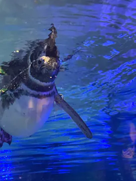 すみだ水族館に投稿された画像（2022/8/12）