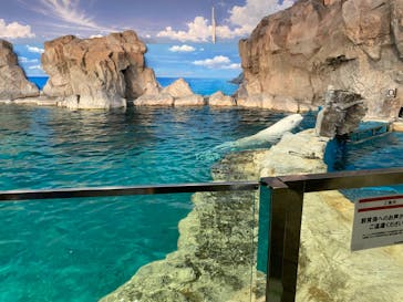 名古屋港水族館に投稿された画像（2022/8/12）