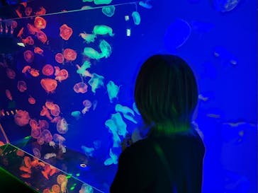 名古屋港水族館に投稿された画像（2022/8/12）