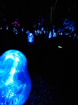 チームラボ ボタニカルガーデン 大阪に投稿された画像（2022/8/12）