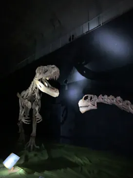 ひらかたパークに投稿された画像（2022/8/12）