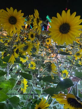 せんだい農業園芸センター　みどりの杜に投稿された画像（2022/8/12）