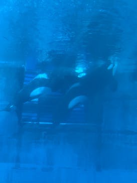 名古屋港水族館に投稿された画像（2022/8/12）