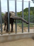 しろとり動物園に投稿された画像（2022/8/13）