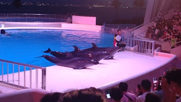 マリンワールド海の中道に投稿された画像（2022/8/12）