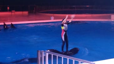 マリンワールド海の中道に投稿された画像（2022/8/12）