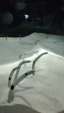 マリンワールド海の中道に投稿された画像（2022/8/12）