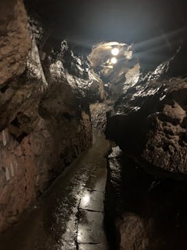 あぶくま洞に投稿された画像（2022/8/12）