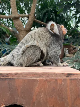 神戸どうぶつ王国に投稿された画像（2022/8/12）