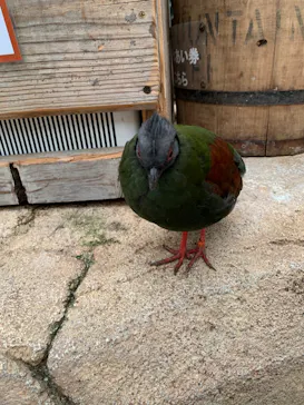 神戸どうぶつ王国に投稿された画像（2022/8/12）