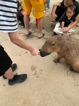 神戸どうぶつ王国に投稿された画像（2022/8/12）