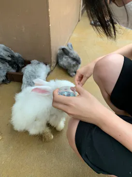 神戸どうぶつ王国に投稿された画像（2022/8/12）