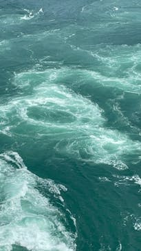 徳島県立 渦の道に投稿された画像（2022/8/12）