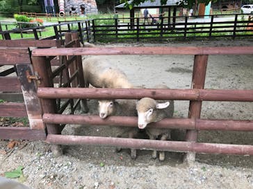 那須高原りんどう湖ファミリー牧場に投稿された画像（2022/8/12）