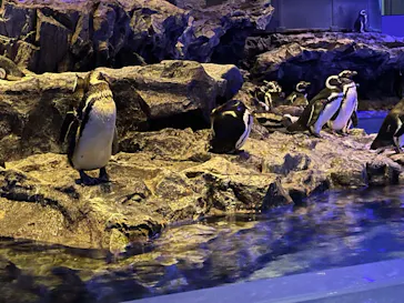 すみだ水族館に投稿された画像（2022/8/12）