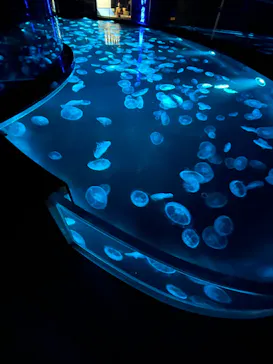 すみだ水族館に投稿された画像（2022/8/12）