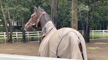 ノーザンホースパークに投稿された画像（2022/8/12）