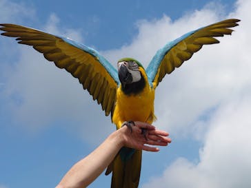 那須どうぶつ王国に投稿された画像（2022/8/13）