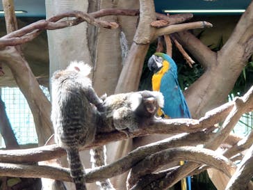 那須どうぶつ王国に投稿された画像（2022/8/13）