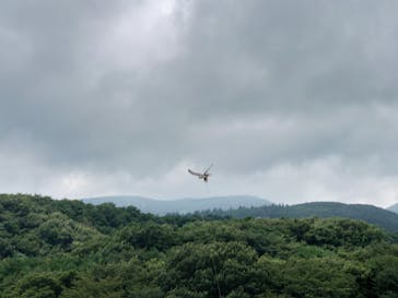 那須どうぶつ王国に投稿された画像（2022/8/13）