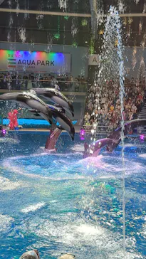 マクセル アクアパーク品川に投稿された画像（2022/8/13）