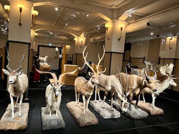 国立科学博物館に投稿された画像（2022/8/13）