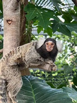 神戸どうぶつ王国に投稿された画像（2022/8/13）