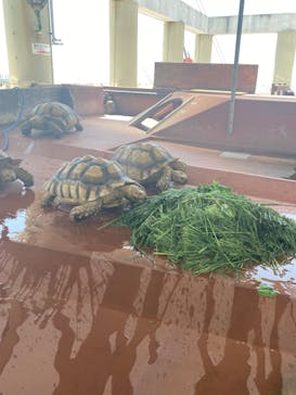 株式会社Gに投稿された画像（2022/8/13）