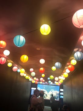 株式会社Gに投稿された画像（2022/8/13）