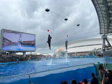 名古屋港水族館に投稿された画像（2022/8/13）