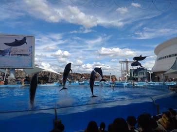 名古屋港水族館に投稿された画像（2022/8/13）