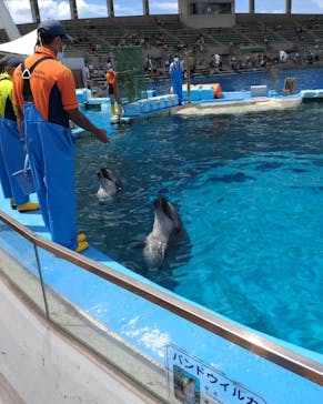名古屋港水族館に投稿された画像（2022/8/13）