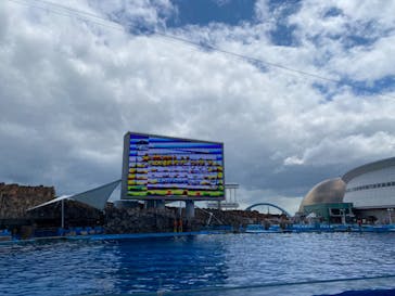 名古屋港水族館に投稿された画像（2022/8/13）