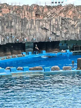 名古屋港水族館に投稿された画像（2022/8/13）