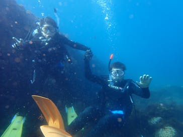 伊豆大島ダイビングセンターに投稿された画像（2022/8/13）