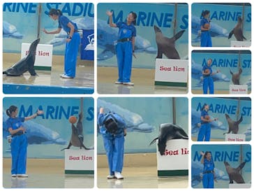 下田海中水族館に投稿された画像（2022/8/13）