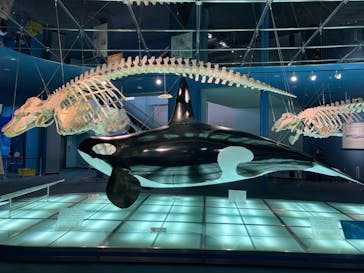 名古屋港水族館に投稿された画像（2022/8/13）