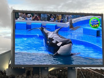 名古屋港水族館に投稿された画像（2022/8/13）