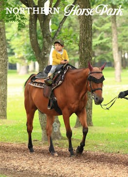 ノーザンホースパークに投稿された画像（2022/8/13）