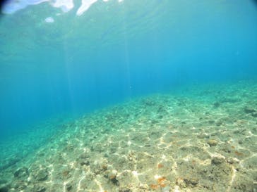 沖縄マリンサービス碧に投稿された画像（2022/8/13）