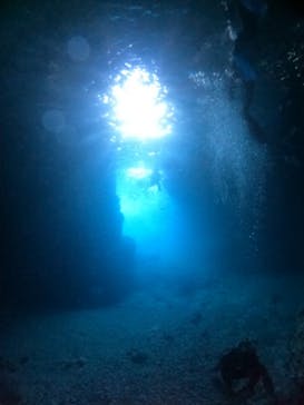 沖縄マリンサービス碧に投稿された画像（2022/8/13）