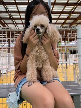 つくばわんわんランドに投稿された画像（2022/8/13）