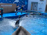 仙台うみの杜水族館に投稿された画像（2022/8/13）