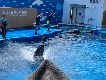 仙台うみの杜水族館に投稿された画像（2022/8/13）
