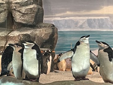 名古屋港水族館に投稿された画像（2022/8/13）