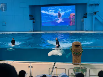 横浜・八景島シーパラダイスに投稿された画像（2022/8/13）